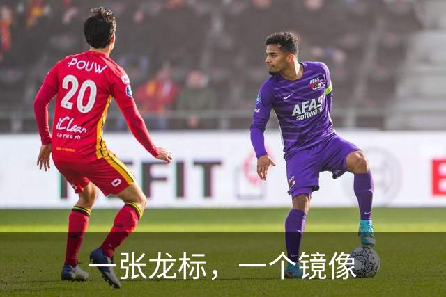 一张龙标，一个镜像