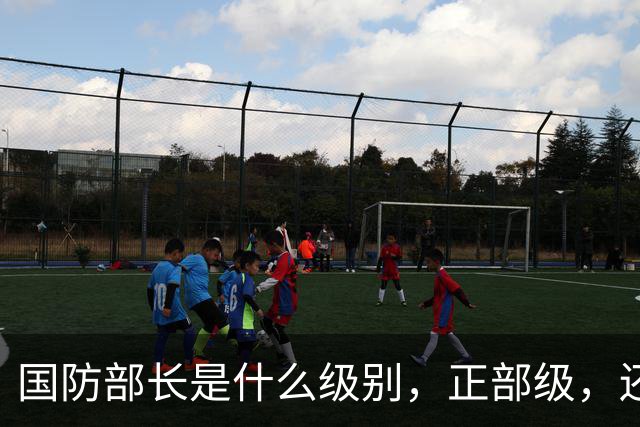 国防部长是什么级别，正部级，还是副国级？