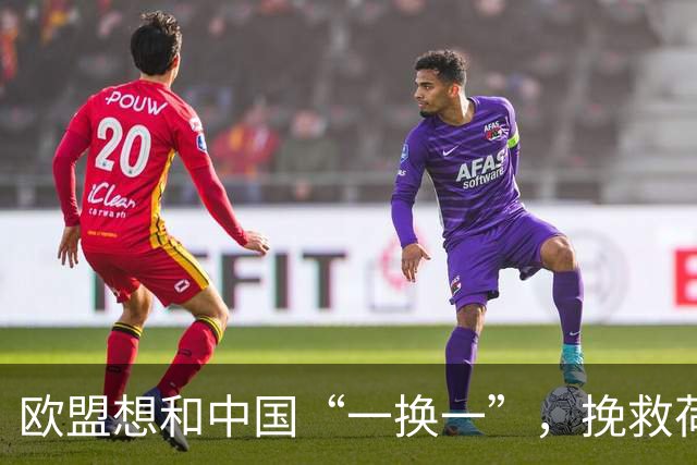 欧盟想和中国“一换一”，挽救荷兰ASML企业，方案大陆未必会同意