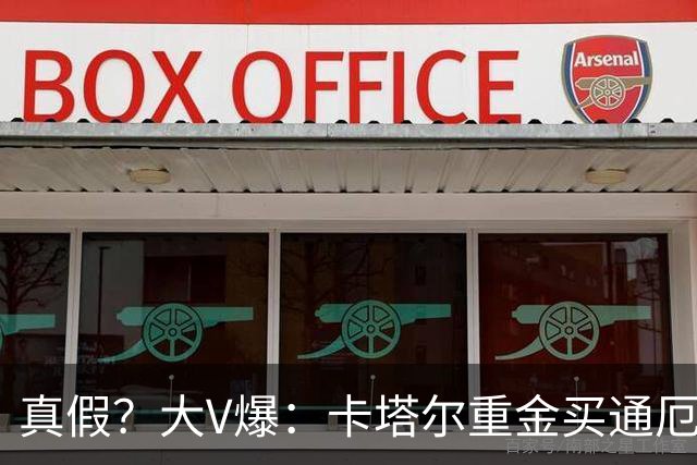 真假？大V爆：卡塔尔重金买通厄瓜多尔球员以赢球