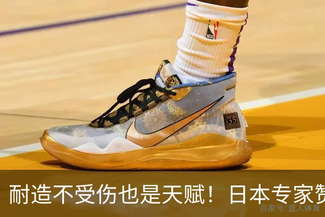 耐造不受伤也是天赋！日本专家赞张本智和：他一家子都身体底子过硬