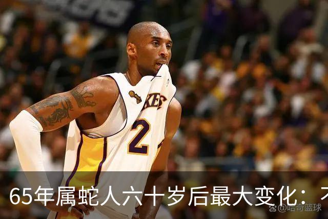 65年属蛇人六十岁后最大变化：不是享清福而是终于学会“往回活”